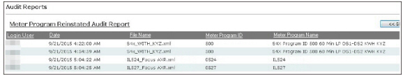 meter_program_reinstated_audit_report.jpg